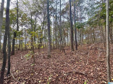 0 County Road 82, Newell, AL 36280 - photo 7