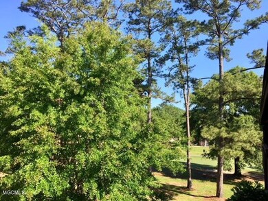 210 lanai view