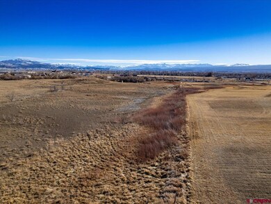 67133 Locust Rd, Montrose, CO 81401 - photo 5