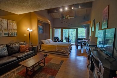 961 N Tamarron Dr unit 555, Durango, CO 81301 - photo 3