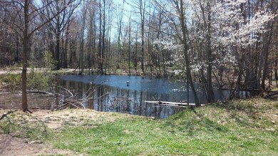Pond