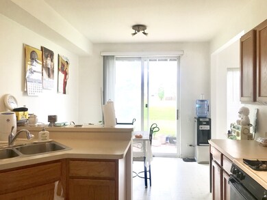 899 Carlsbad Ct unit 524A, Elgin, IL 60123 - photo 6