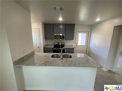 922 Cilantro Rd, Temple, TX 76501 - photo 5