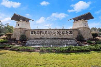 12721 Fowler Dr, Denham Springs, LA 70706 - photo 3