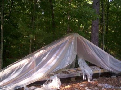 8508 1st Ave, Bitely, MI 49309 - photo 2