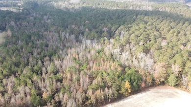 Gaddy Rd, Fairmont, NC 28340 - photo 6