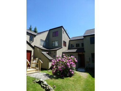 3 Eagle Dr unit 29, Wilmington, VT 05363 - photo 4