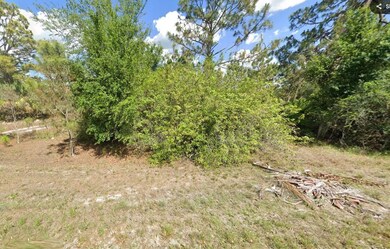 1258 Bowles Ave, Lehigh Acres, FL 33913 - photo 7