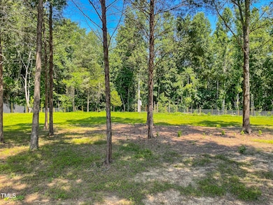 1150 Rougemont Rd, Rougemont, NC 27572 - photo 5