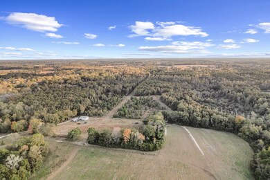 71.73 acres County Road 203, Dothan, AL 36301 - photo 3