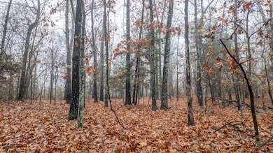 000 County Road 36, Gainesville, MO 65655 - photo 7