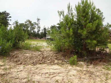 0 Nelson Landing Dr, Pearl River, LA 70452 - photo 7