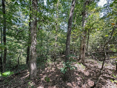 0 Chapman Rd, Falkner, MS 38629 - photo 6