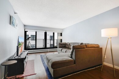 Groveland Terrace unit 305, Minneapolis, MN 55403 - photo 5