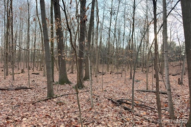 V/L Stoneybrook Trail, Hubbardston, MI 48845 - photo 2