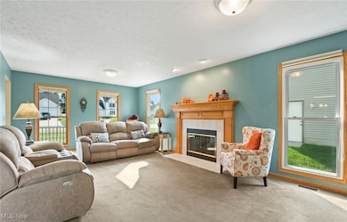 3687 Cranberry Hill, Rootstown, OH 44272 - photo 7