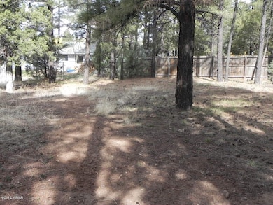 1200 W Owens, Show Low, AZ 85901 - photo 5