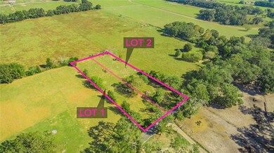 6885 SE 180th St, Oxford, FL 34484 - photo 6