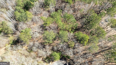 Bent Tree Court Lot: A-20, Newnan, GA 30263 - photo 4