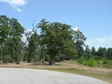 29026 Village Ridge Ct, Magnolia, TX 77355 - photo 3