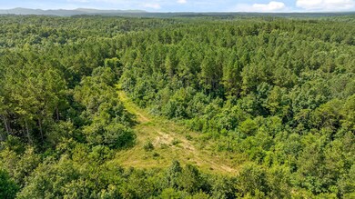 Tract 2 Conniston Rd, Chatsworth, GA 30705 - photo 7