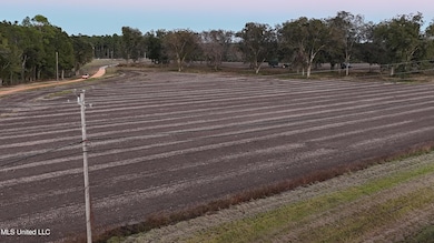 0 Mississippi 614, Moss Point, MS 39562 - photo 6