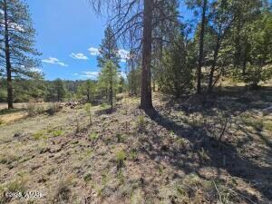 3326 Black Canyon Rd, Heber-Overgaard, AZ 85928 - photo 7