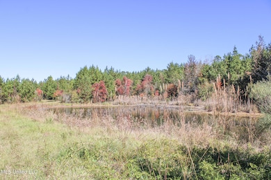 2108 Joel Lang Rd, McComb, MS 39648 - photo 4