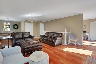 Living room featuring wood finished floors and crown molding