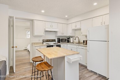 424 Park Cir unit B, Aspen, CO 81611 - photo 5