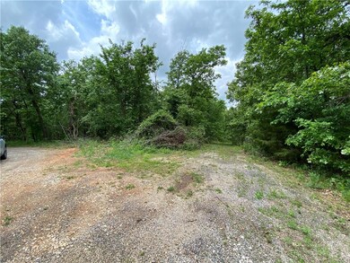 0 Leland Ln unit 1185013, Bella Vista, AR 72715 - photo 6