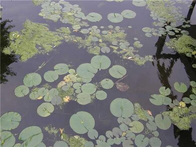 View Modern version of Monet!
