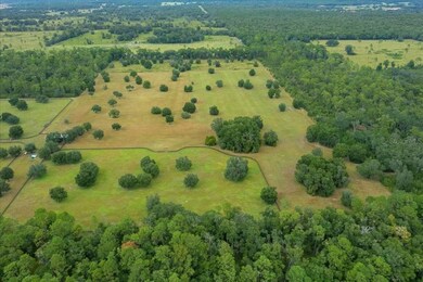 0 NW 150th Ave unit 25150342, Ocala, FL 34482 - photo 6