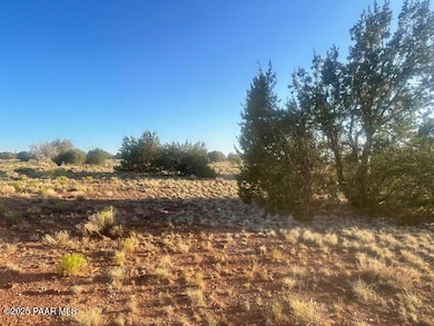 349sw Rocky Top Rd, Seligman, AZ 86337 - photo 2