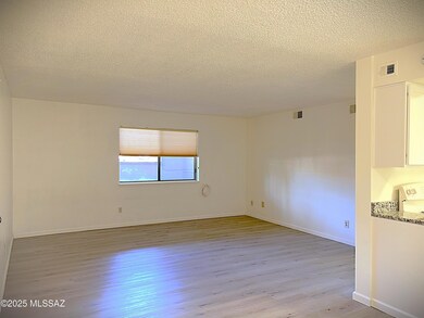 Yucca Ct-313-Livingrm