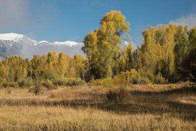 7 BE Fall Morning Meadow, Tall Cottonwoo