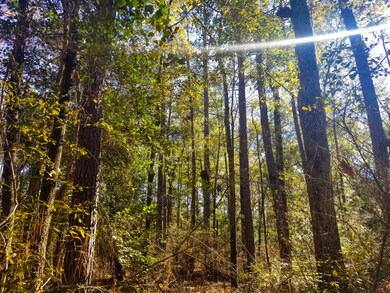 Cannon Road Tract (11)-2