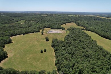 000 Ray King Rd, Judsonia, AR 72081 - photo 4