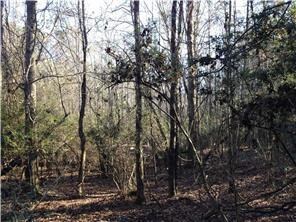 0 Otto Passman Rd, Franklinton, LA 70438 - photo 4