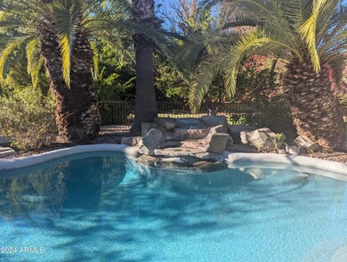 NEW Pool pic 1