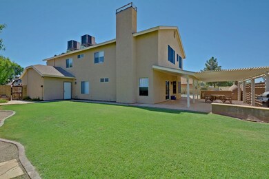 Backyard View