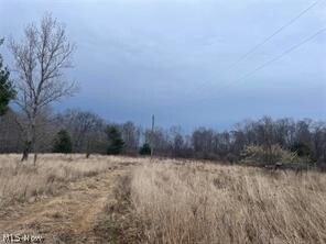 5930 N Mccune Rd NW, McConnelsville, OH 43756 - photo 2