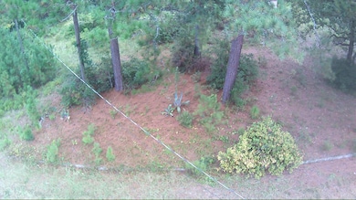 6336 North Rd, North, SC 29112 - photo 5