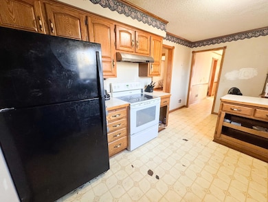 210 Delaware Ave, Adrian, MN 56110 - photo 7