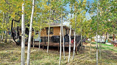 183 Bartimous Rd, Bailey, CO 80421 - photo 2