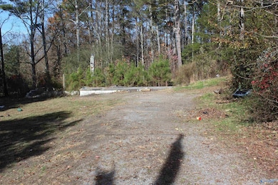 1.0 County Road 122, Fort Payne, AL 35968 - photo 4