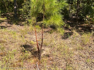 Tract 8 River Rd, Whitesboro, OK 74577 - photo 7