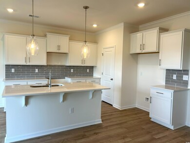 154 River Birch Dr, Loris, SC 29569 - photo 2