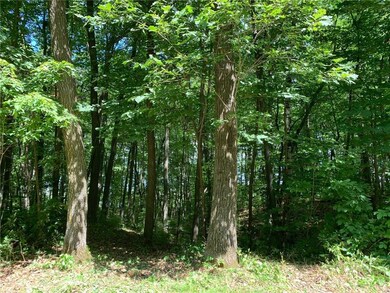 0000 Olsen Rd, Lincoln, WI 54893 - photo 6