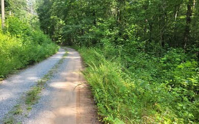 Additional View